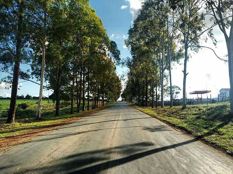 IMAGENS DA CIDADE DE TAPIRAMUT - BA - TAPIRAMUT - BA