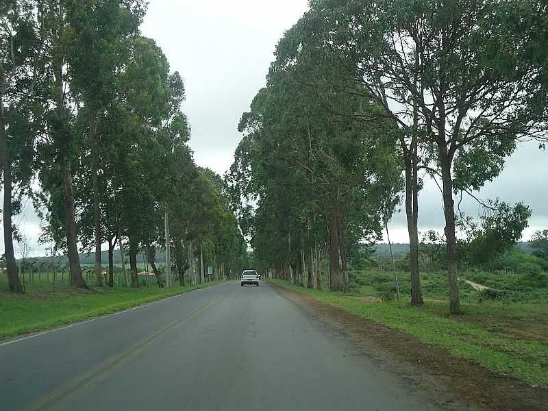 TAPIRAMUT-BA-ENTRADA DA CIDADE-FOTO:WELLE BEU - TAPIRAMUT - BA