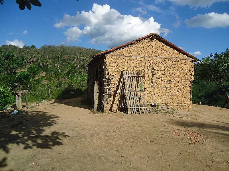 TAPIRAMUT-BA-CASEBRE EM ZONA RURAL-FOTO:WELLE BEU - TAPIRAMUT - BA