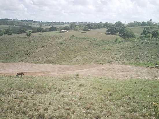 LIMOEIRO DE ANDIA-AL-CAMPOS DA REA RURAL-FOTO:HENRIQUENORDESTENOAT - LIMOEIRO DE ANADIA - AL