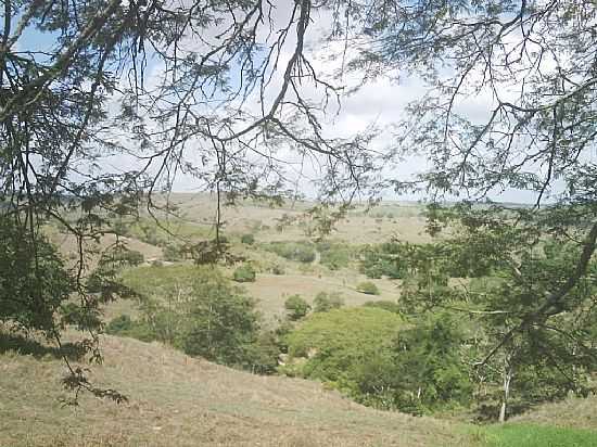 LIMOEIRO DE ANDIA-AL-CAMPOS E MONTANHAS NA REA RURAL-FOTO:HENRIQUENORDESTENOAT - LIMOEIRO DE ANADIA - AL