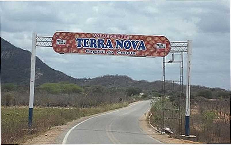 TERRA NOVA - BA - TERRA NOVA - BA