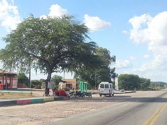 TIJUAU-BA-PRAA  BEIRA DA RODOVIA BR-407-FOTO:JORGE HIRATA - TIJUA - BA