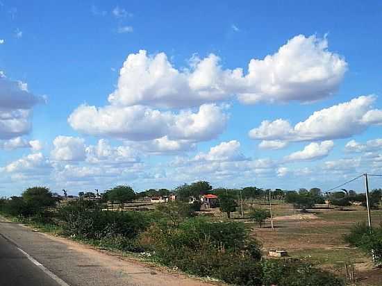 TIJUAU-BA-VISTA DA RODOVIA BR-407-FOTO:JORGE HIRATA - TIJUA - BA