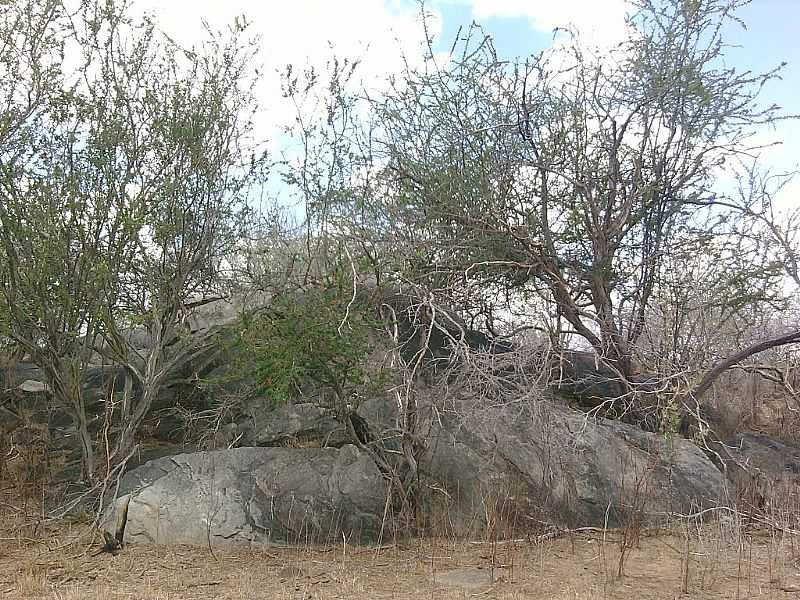 UAU-BA-ROCHA NA CAATINGA-FOTO:ADRIANO_RODRIGO - UAU - BA