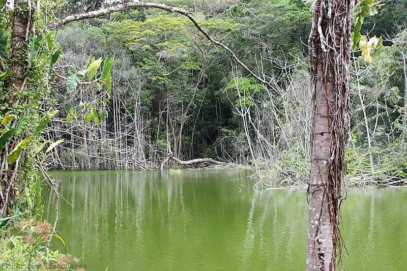 MACEI-AL-PARQUE NACIONAL DE MACEI-FOTO:ALAGOASQUEAMO  - MACEI - AL