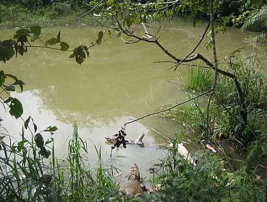 PARQUE FLORESTAL RECANTO DOS JACARS-FOTO:CINZA - MACEI - AL