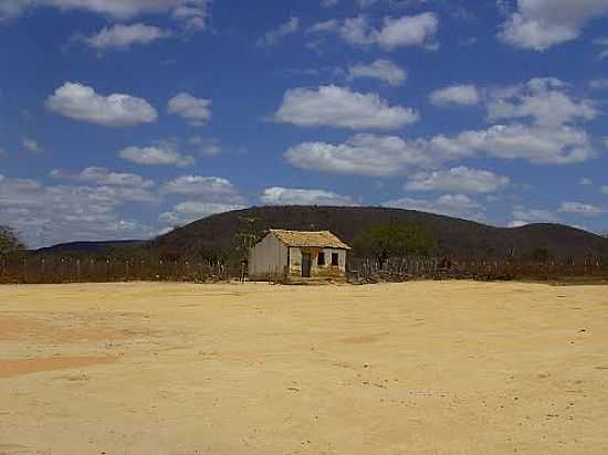 CASINHA NA CAATINGA DE UMBURANAS-BA-FOTO:CAIO GRACO MACHADO - UMBURANAS - BA