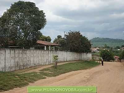 UMBUZEIRO FOTO MUNDONOVOBA - UMBUZEIRO - BA