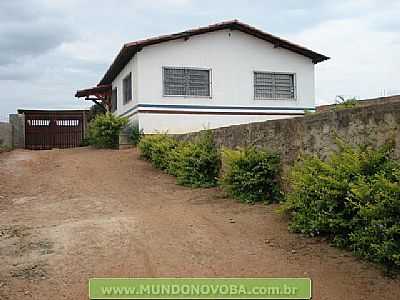 UMBUZEIRO FOTO MUNDONOVOBA - UMBUZEIRO - BA