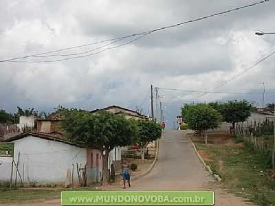 UMBUZEIRO FOTO MUNDONOVOBA - UMBUZEIRO - BA