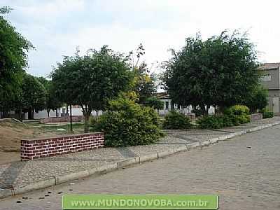 UMBUZEIRO FOTO MUNDONOVOBA - UMBUZEIRO - BA