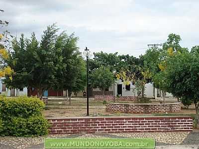 UMBUZEIRO FOTO MUNDONOVOBA - UMBUZEIRO - BA