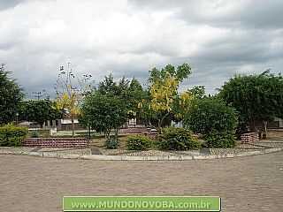 UMBUZEIRO FOTO MUNDONOVOBA - UMBUZEIRO - BA