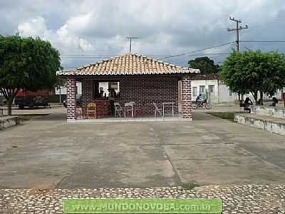 UMBUZEIRO FOTO MUNDONOVOBA - UMBUZEIRO - BA