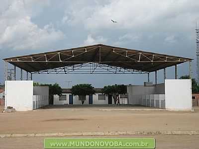 UMBUZEIRO FOTO MUNDONOVOBA - UMBUZEIRO - BA