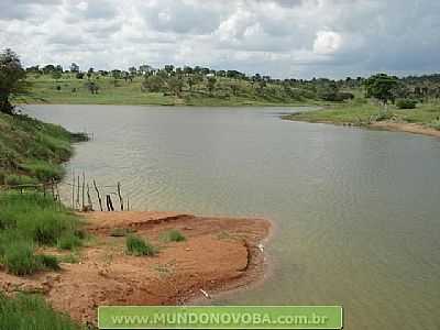 UMBUZEIRO FOTO MUNDONOVOBA - UMBUZEIRO - BA