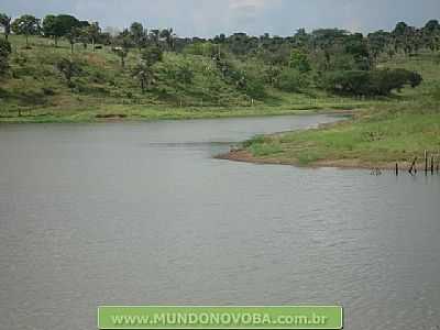 UMBUZEIRO FOTO MUNDONOVOBA - UMBUZEIRO - BA