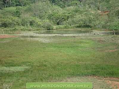 UMBUZEIRO FOTO MUNDONOVOBA - UMBUZEIRO - BA