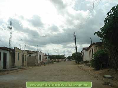 UMBUZEIRO FOTO MUNDONOVOBA - UMBUZEIRO - BA