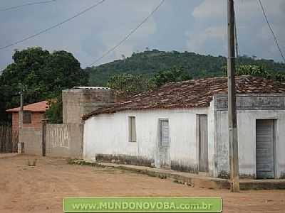 UMBUZEIRO FOTO MUNDONOVOBA - UMBUZEIRO - BA