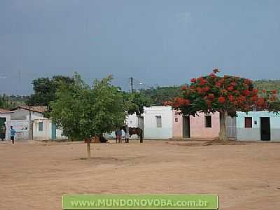 UMBUZEIRO FOTO MUNDONOVOBA - UMBUZEIRO - BA