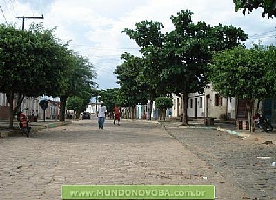 UMBUZEIRO FOTO MUNDONOVOBA - UMBUZEIRO - BA