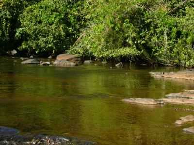 ILHA DO MEL> ROD. UNA COLONIA, POR RAIMUNDO RODRIGUES DA SILVA - UNA - BA