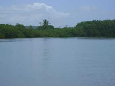 ILHA DO DESEJO-UNA, POR PATRICIA LIMA - UNA - BA