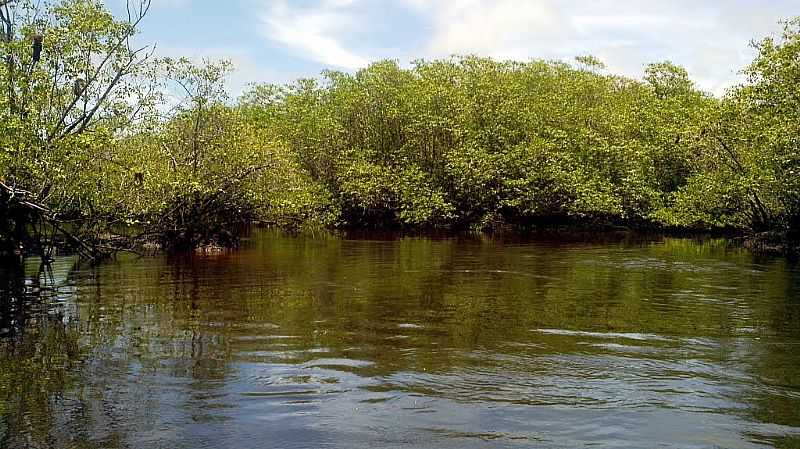 UNA-BA-MANGUE NO RIO ACUPE-FOTO:ZIUENDER ZULMIR CAPATO - UNA - BA