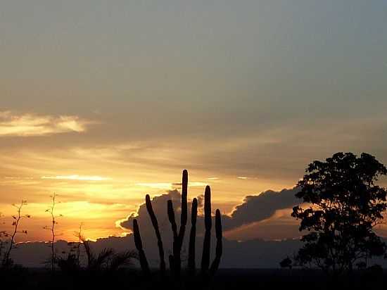 PR DO SOL NA CAATINGA EM VALENTE-BA-FOTO:JORGE LN - VALENTE - BA