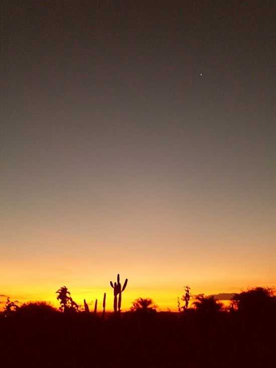 VALENTE-BA-CACTO, CREPSCULO E VNUS-FOTO:JORGE LN - VALENTE - BA