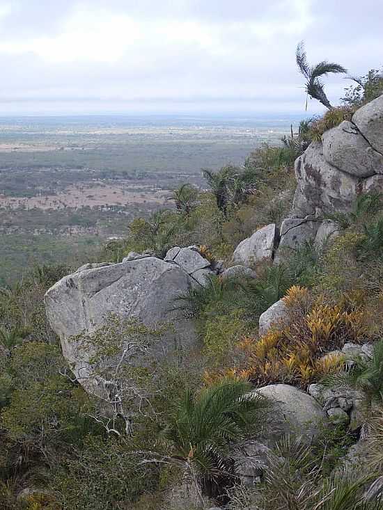 VALENTE-BA-FACE SUL DA SERRA DO PINTADO-FOTO:ORGE LN - VALENTE - BA