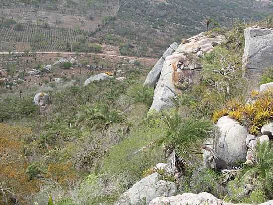 VALENTE-BA-SERRA DO PINTADO-FOTO:JORGE LN  - VALENTE - BA