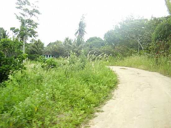 ESTRADA EM VARZEDO-FOTO:FLAVIO A. VEJAR - VARZEDO - BA