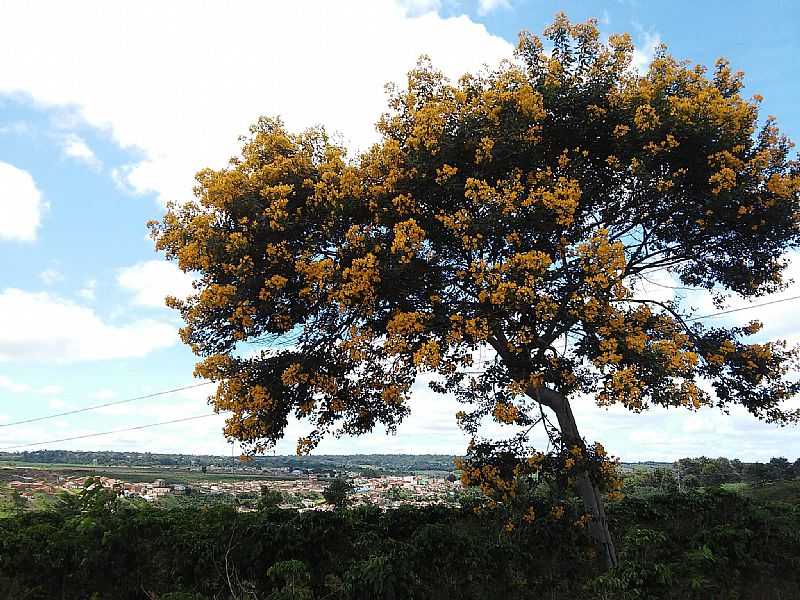 IMAGENS DA VILA DO CAF PERTENCE A CIDADE DE ENCRUZILHADA - BA - VILA DO CAF - BA