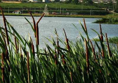 LAGOA DAS BATEIAS, POR LVIA SOARES ALMEIDA - VITRIA DA CONQUISTA - BA