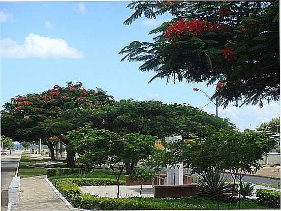 AVENIDA JACI FLORES EM VITRIA DA CONQUISTA-BA-FOTO:MIRAFLORES 10 - VITRIA DA CONQUISTA - BA