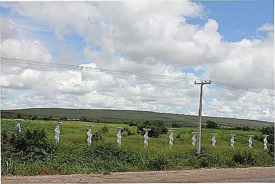 CERCA NA MARGEM DA RODOVIA BA-262 EM VITRIA DA CONQUISTA-BA-FOTO:DIMAS JUSTO - VITRIA DA CONQUISTA - BA
