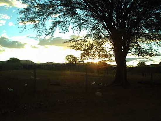 POR DO SOL POR LEOKLIDES CAFE - WANDERLEY - BA