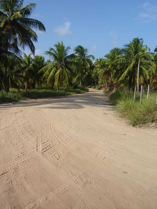 ESTRADA DE PONTAL DE MARAGOGI-FOTO:ENIOPRADO - MARAGOGI - AL