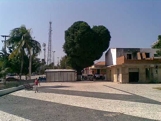 MANGUEIRA EM FORMATO DE CORAO NA PRAA CENTENRIO EM ACARA-CE-FOTO:ARTHURVASCC - ACARA - CE