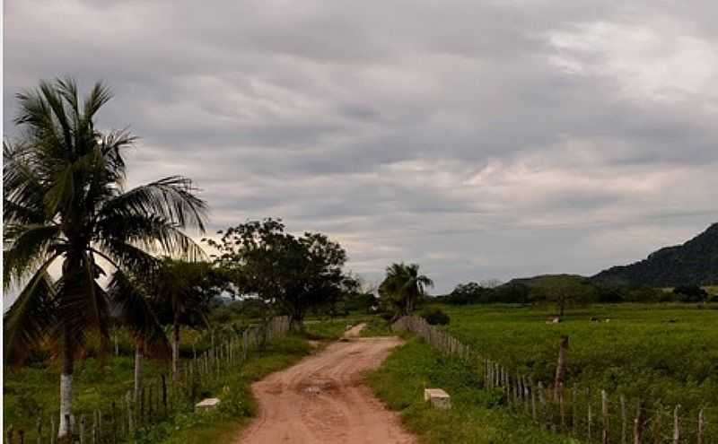 AGUA-CE-ESTRADA RURAL DO DISTRITO-FOTO:ARAGO - AGUA - CE