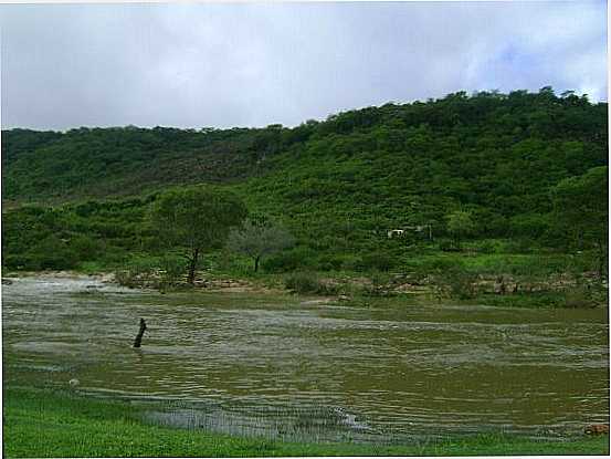 RIO CAPI, POR ROZI LIMA - MARAVILHA - AL