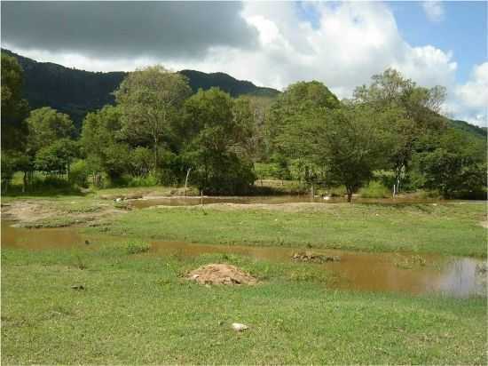 AUDE NO SOP DA SERRA DA CAIARA, POR ROZI LIMA - MARAVILHA - AL