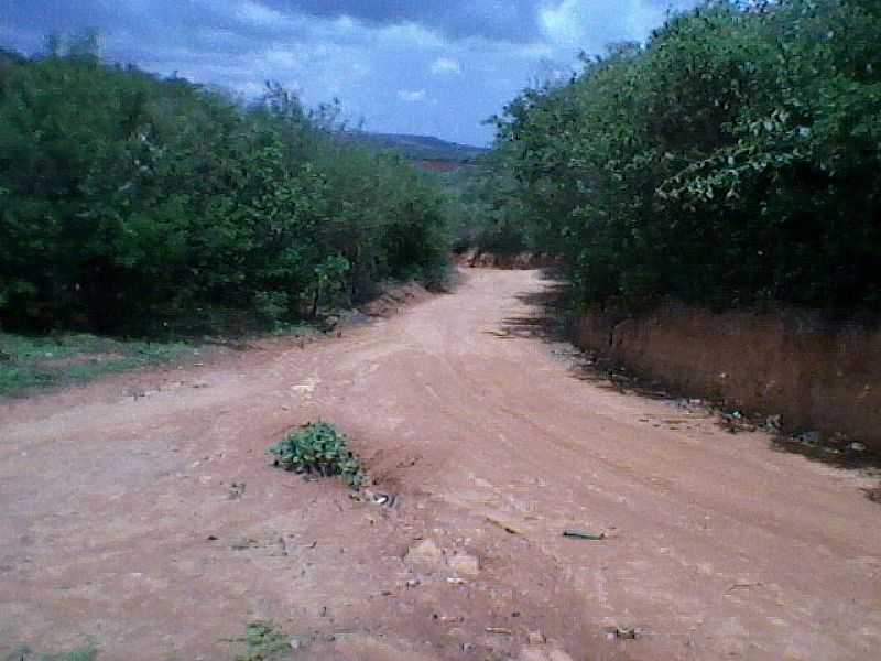 ALTANEIRA-CE-ESTRADA DE ACESSO-FOTO:JOHN DEYWID DE BRITO CAMILO - ALTANEIRA - CE