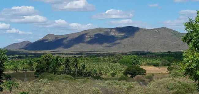 VISTA DA LOCALIDAE DE JABURU APUIARS, POR SANDRA MARIA MATOS CARNEIRO - APUIARS - CE