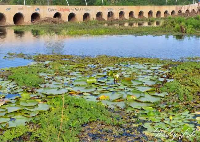 RIO CURU-FICA NO CENTRO DA CIDADE SEDE, POR SANDRA MARIA MATOS CARNEIRO - APUIARS - CE