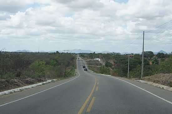 RODOVIA CE-060 EM ARACOIABA-CE-FOTO:ANDRE PIMENTEL - ARACOIABA - CE