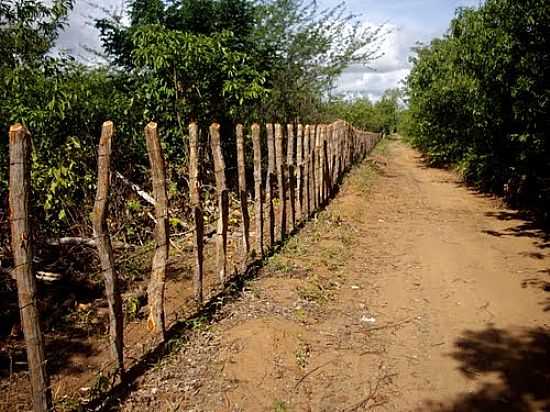 FAZENDA HARAS SOL NASCENTE-AROEIRAS-FOTO:JOS FERREIRA - AROEIRAS - CE